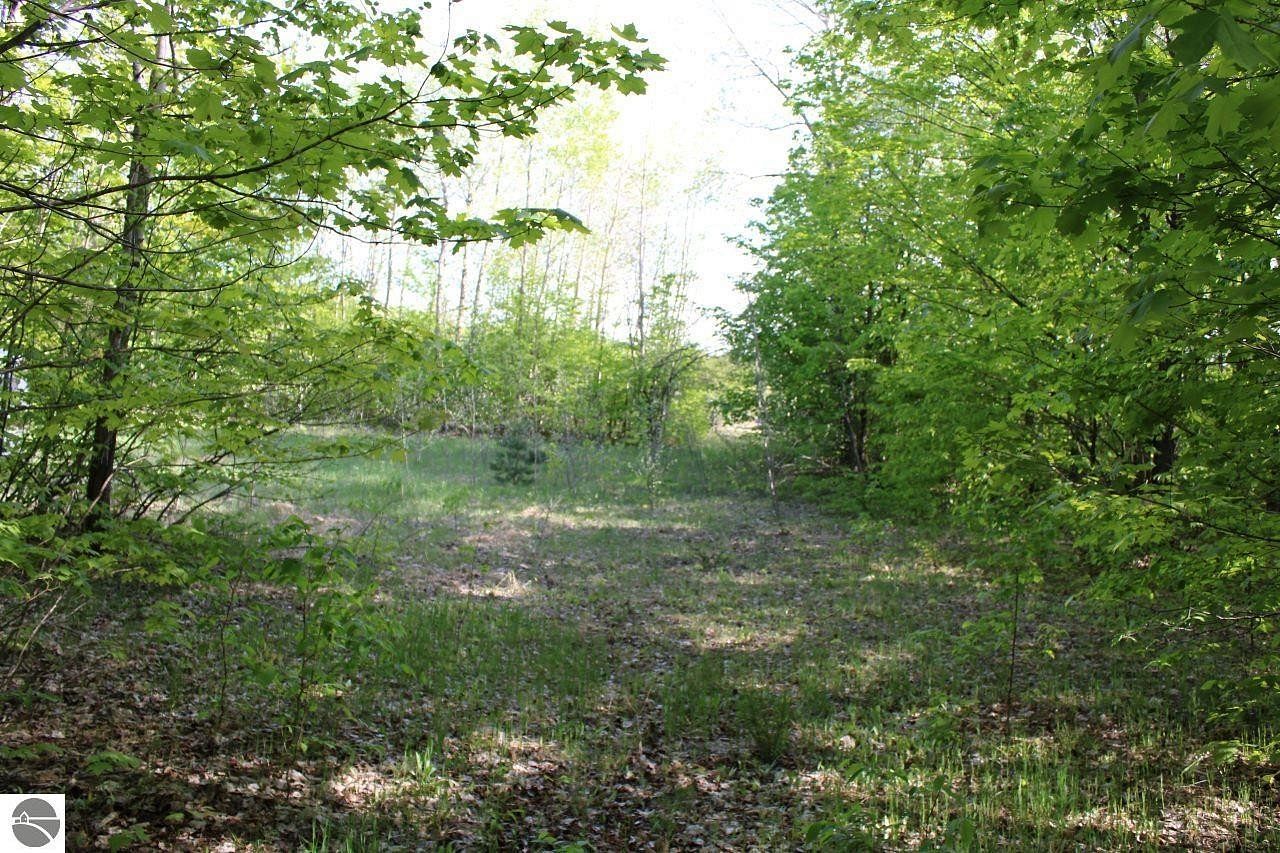 10 Acres of Recreational Land for Sale in Mancelona, Michigan