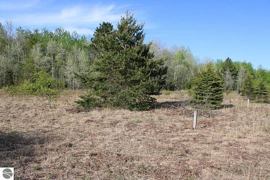 10 01 Acres Of Recreational Land For Sale In Mancelona Michigan