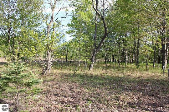 10 01 Acres Of Recreational Land For Sale In Mancelona Michigan