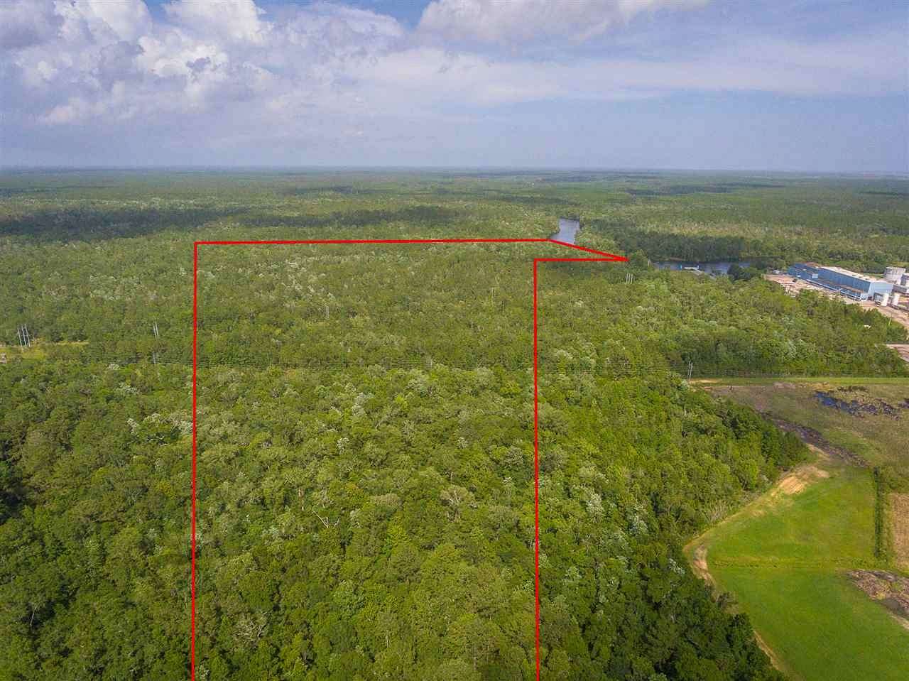 68.4 Acres of Land for Sale in St. Marks, Florida