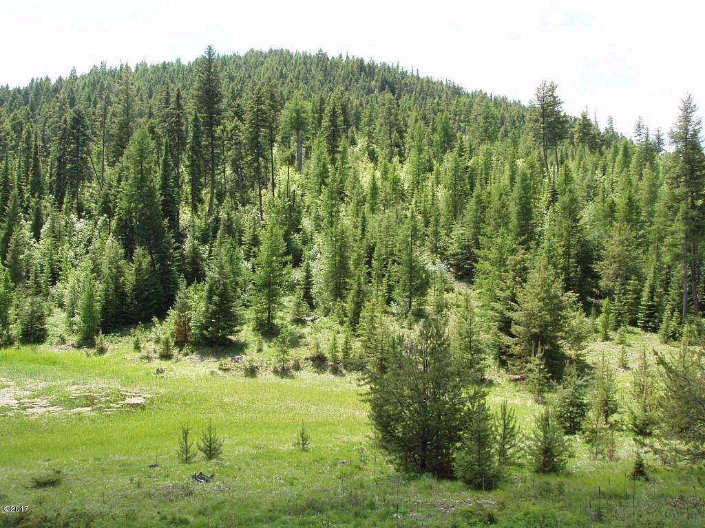 20.1 Acres of Land for Sale in Whitefish, Montana