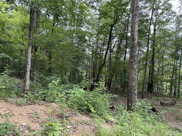 Land For Sale East Bernstadt Ky