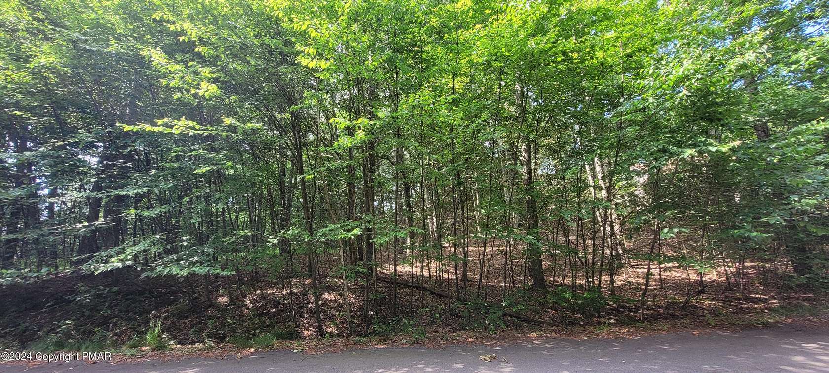 0.96 Acres of Residential Land for Sale in Lake Harmony, Pennsylvania