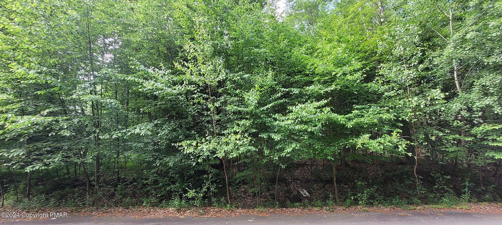 0.96 Acres of Residential Land for Sale in Lake Harmony, Pennsylvania