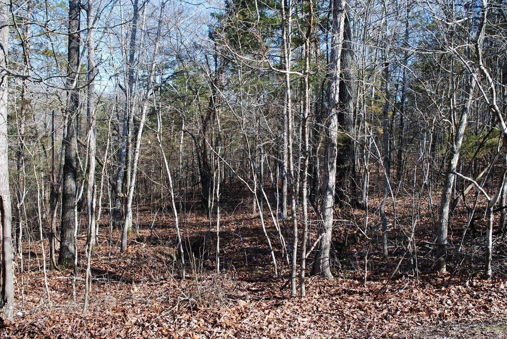 3.4 Acres of Residential Land for Sale in Mountain View, Arkansas
