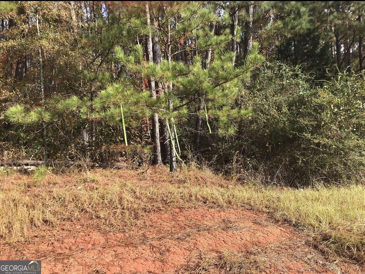 6.4 Acres of Residential Land for Sale in Macon, Georgia