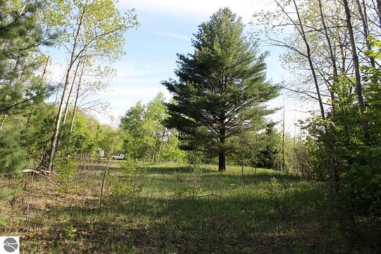 15 Acres of Recreational Land for Sale in Mancelona, Michigan