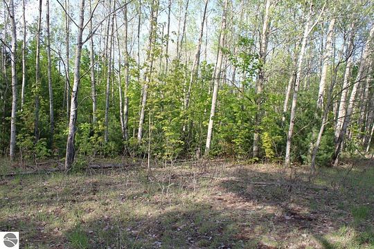 15 01 Acres Of Recreational Land For Sale In Mancelona Michigan