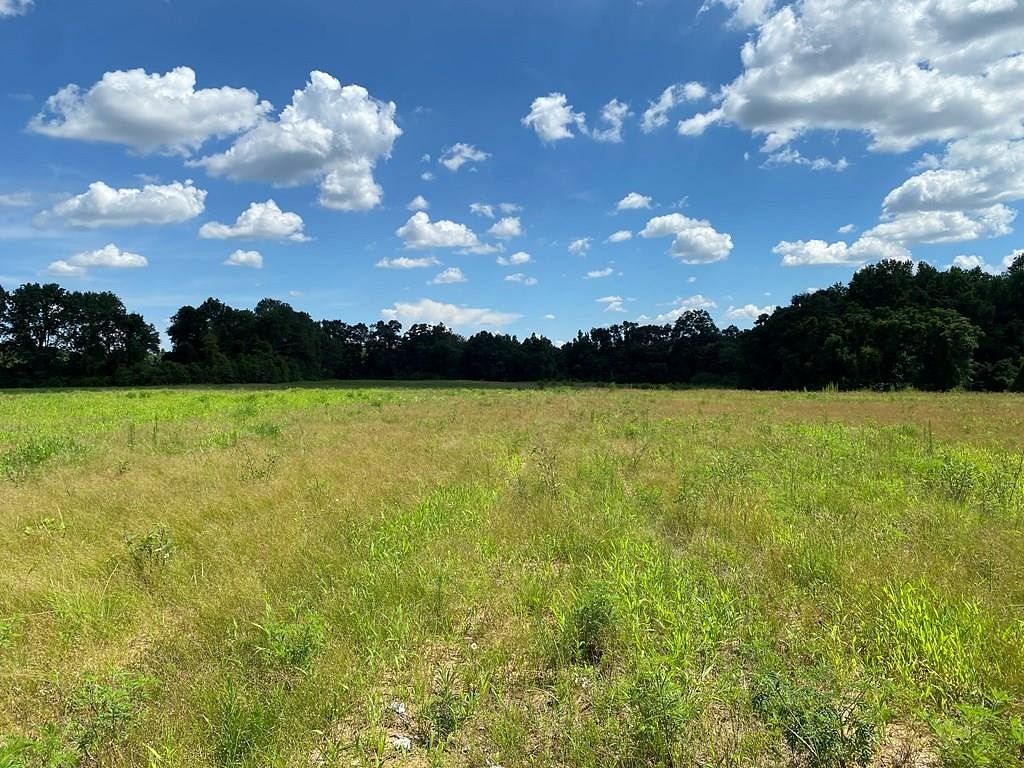 25.5 Acres of Land for Sale in Rehobeth, Alabama