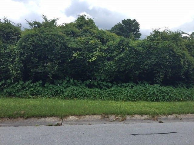 0.29 Acres of Residential Land for Sale in Jacksonville, North Carolina