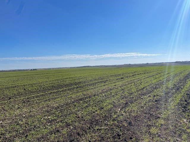 91.5 Acres of Land for Sale in Holland, Texas
