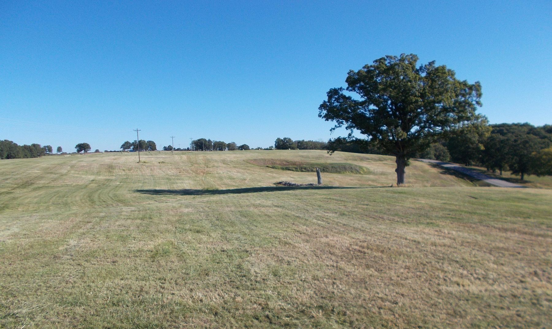 49.1 Acres of Agricultural Land for Sale in Mountain Grove, Missouri