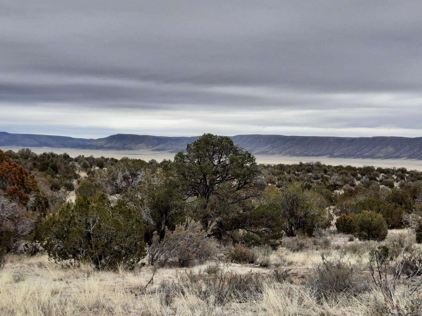 2 Acres of Land for Sale in Seligman, Arizona