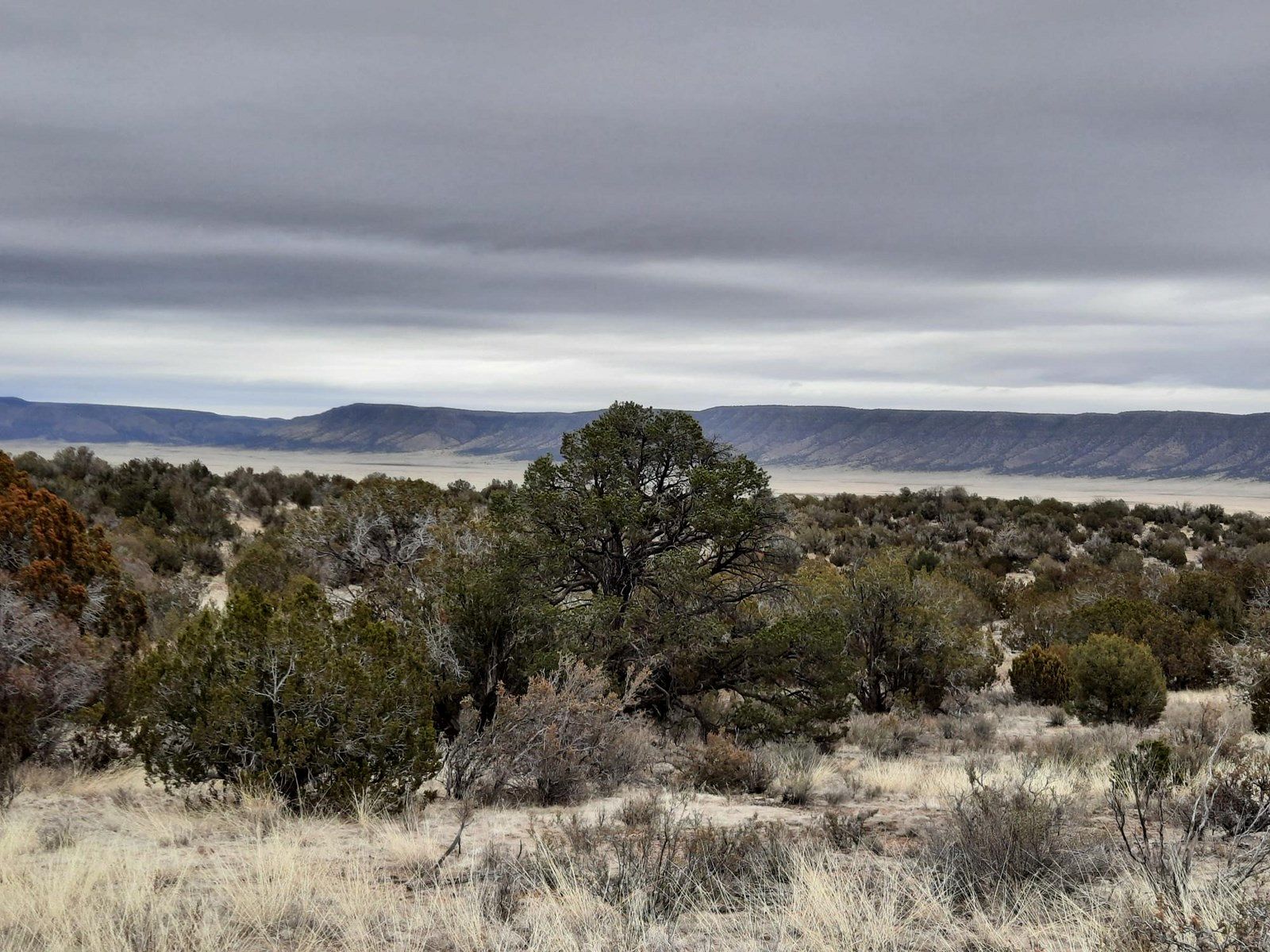2 Acres of Recreational Land for Sale in Seligman, Arizona