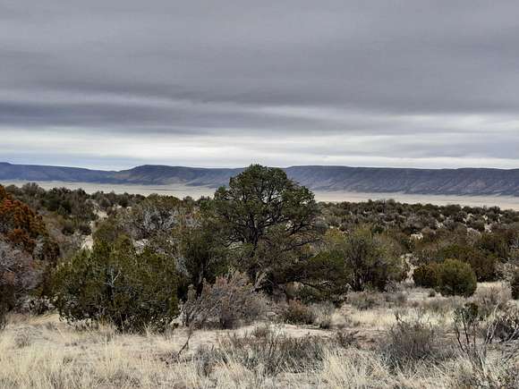2 Acres of Land for Sale in Seligman, Arizona