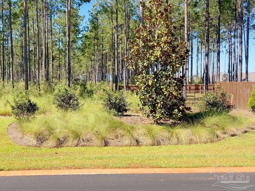 15 Acres of Recreational Land for Sale in Jay, Florida