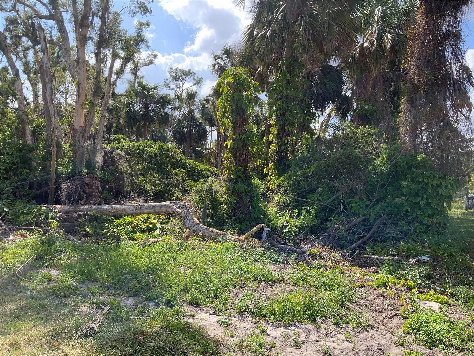 0.46 Acres of Residential Land for Sale in North Fort Myers, Florida