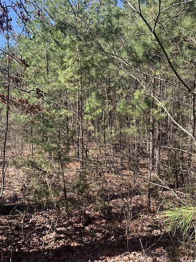 40 Acres of Land for Sale in Clinton, Arkansas