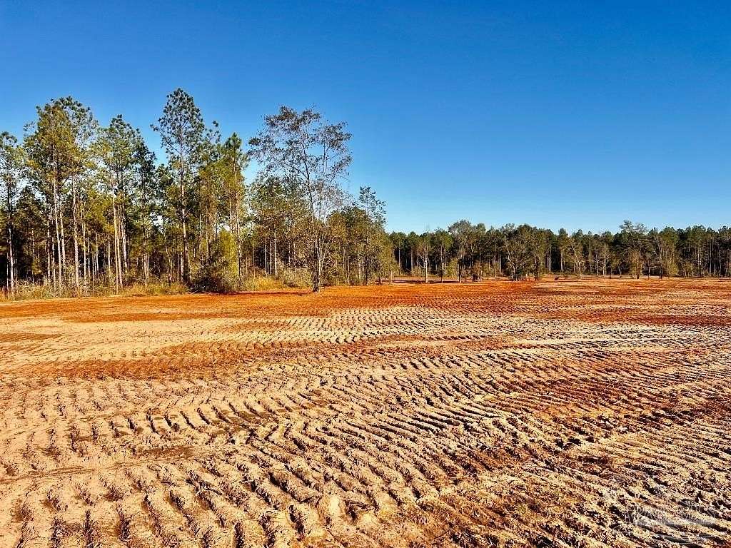 15 Acres of Recreational Land for Sale in Jay, Florida