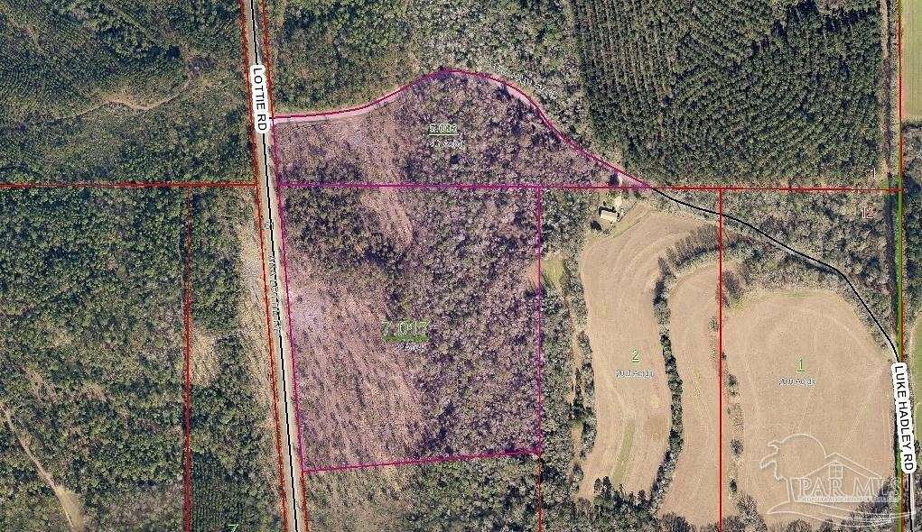 30.7 Acres of Land for Sale in Atmore, Alabama