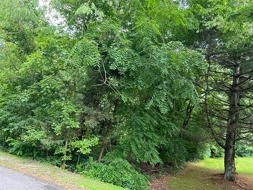 0.38 Acres of Residential Land for Sale in Abingdon, Virginia