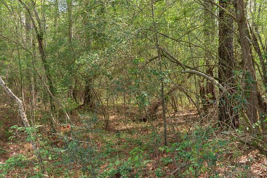 57.36 Acres of Land for Sale in Laurel, Mississippi - LandSearch