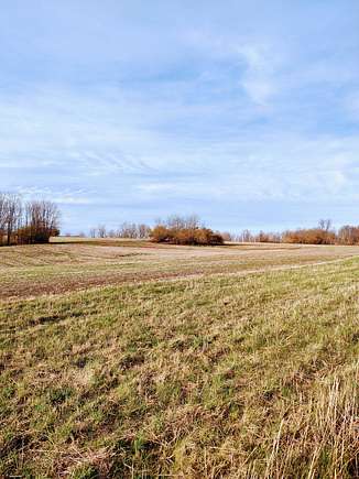 218 Acres of Agricultural Land for Sale in Paris, Kentucky