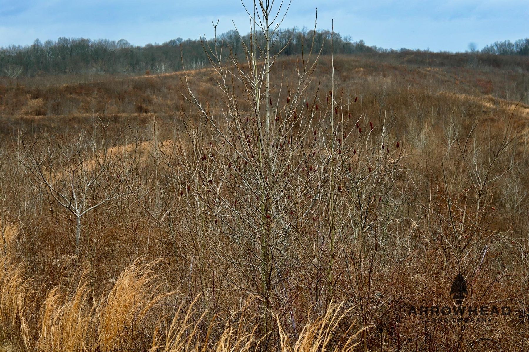 95 Acres of Recreational Land for Sale in Ironton, Ohio LandSearch