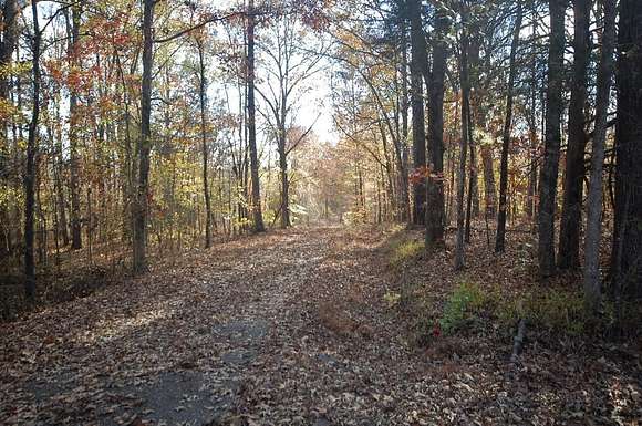 153 Acres of Land for Sale in Beech Bluff, Tennessee