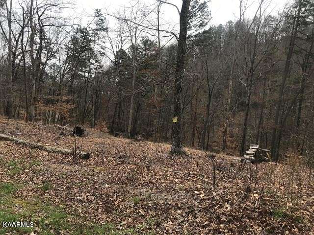 0.52 Acres of Residential Land for Sale in Rockwood, Tennessee