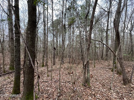 25 Acres of Land for Sale in Porterville, Mississippi