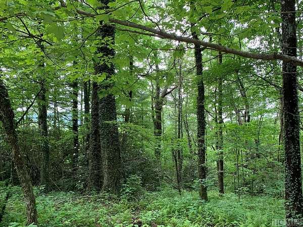9.76 Acres of Residential Land for Sale in Highlands, North Carolina