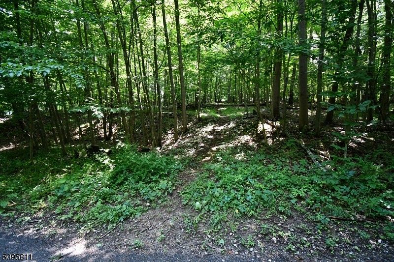 1.7 Acres of Residential Land for Sale in Stanhope, New Jersey