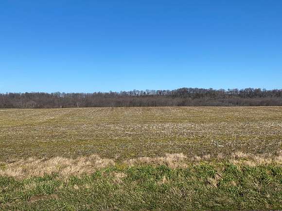 31 Acres of Land for Sale in Oakland, Kentucky