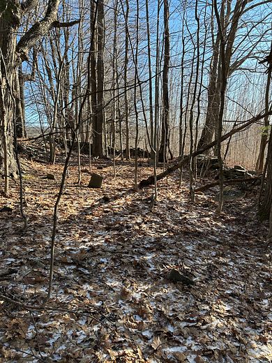 10.1 Acres of Recreational Land for Sale in Summit, New York