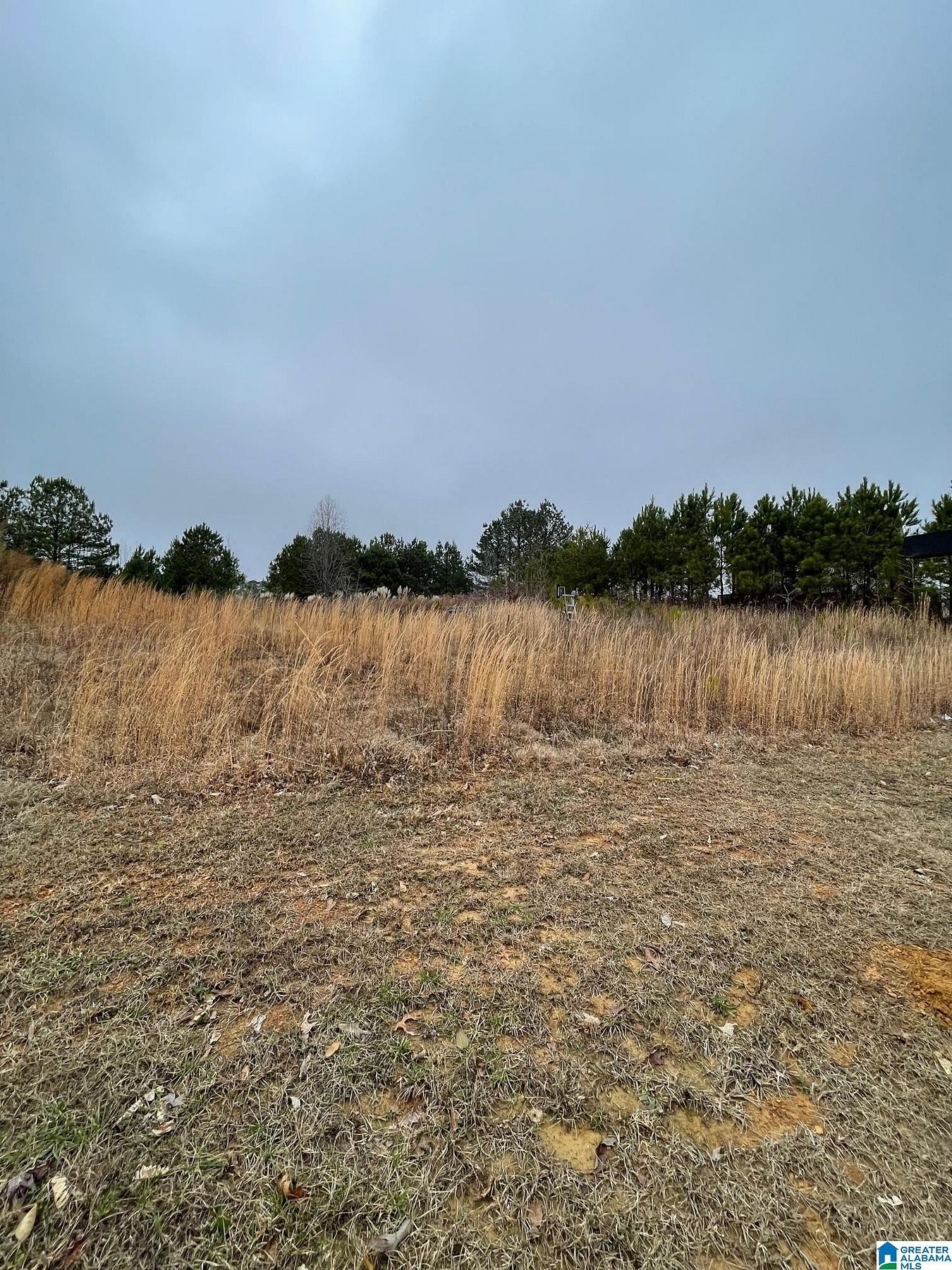 0.44 Acres of Land for Sale in Odenville, Alabama