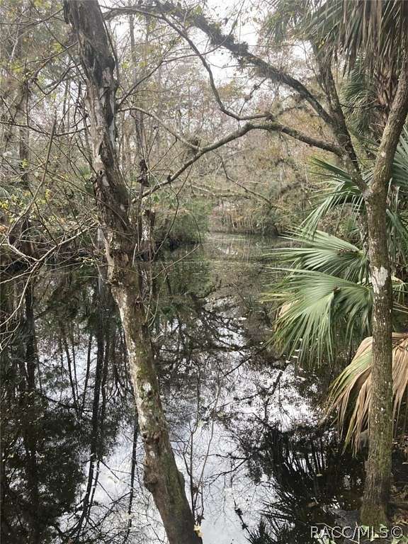 34.74 Acres of Land for Sale in Inverness, Florida