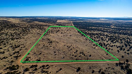 74.8 Acres of Land for Sale in St. Johns, Arizona