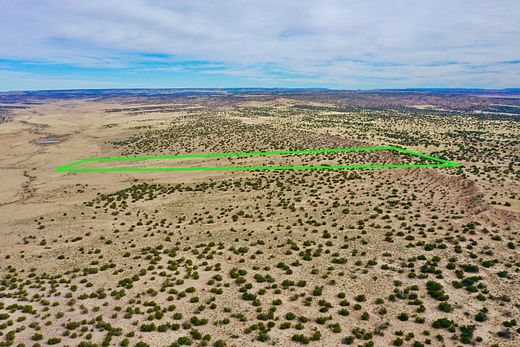 37 Acres of Agricultural Land with Home for Sale in St. Johns, Arizona