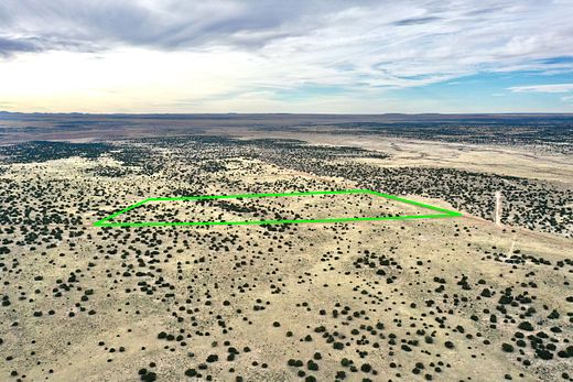 38.5 Acres of Agricultural Land for Sale in St. Johns, Arizona