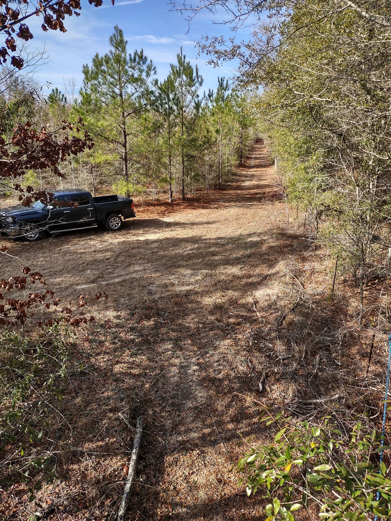 88.5 Acres of Recreational Land with Home for Sale in Abbeville