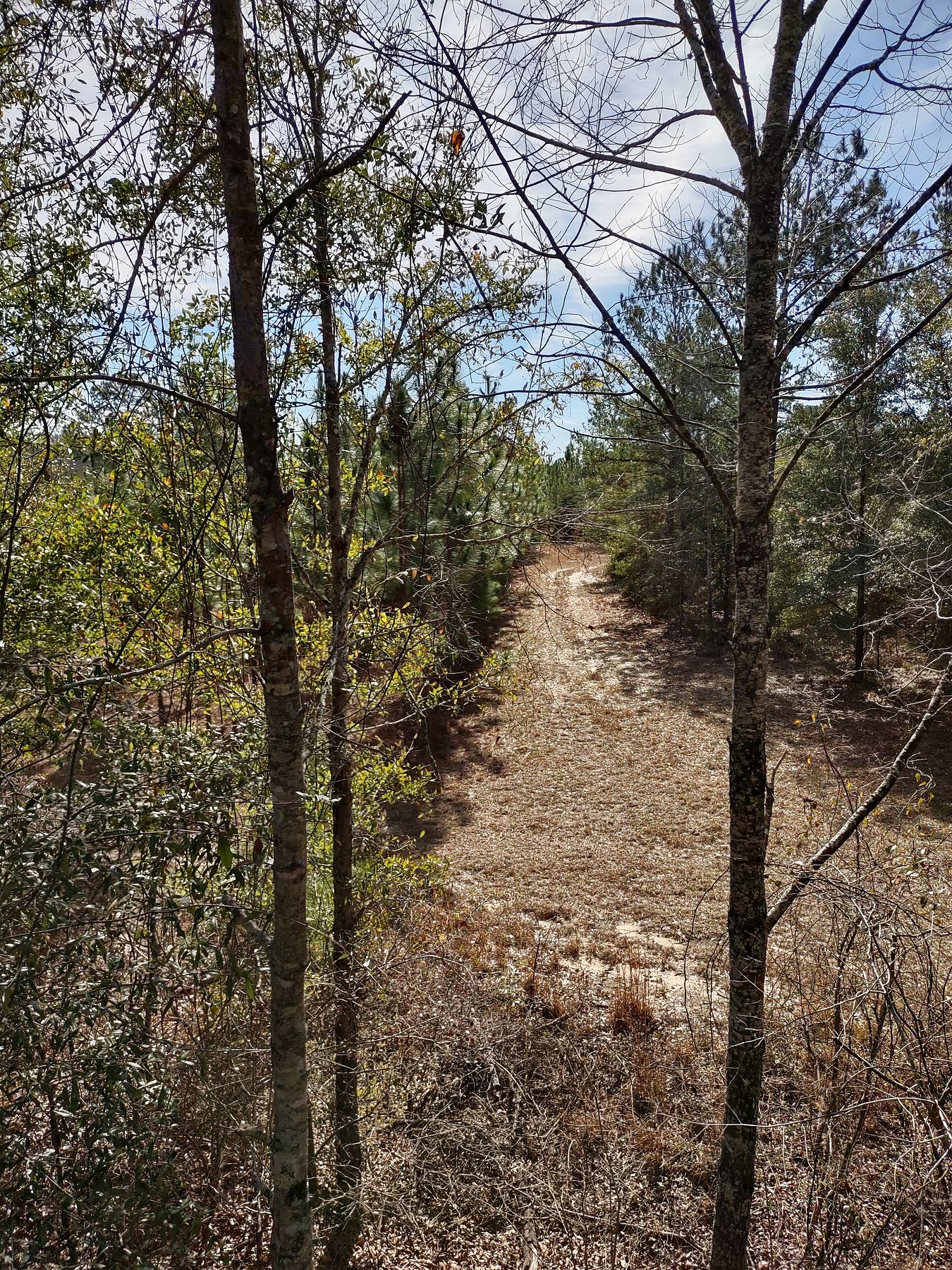 88.5 Acres of Recreational Land with Home for Sale in Abbeville