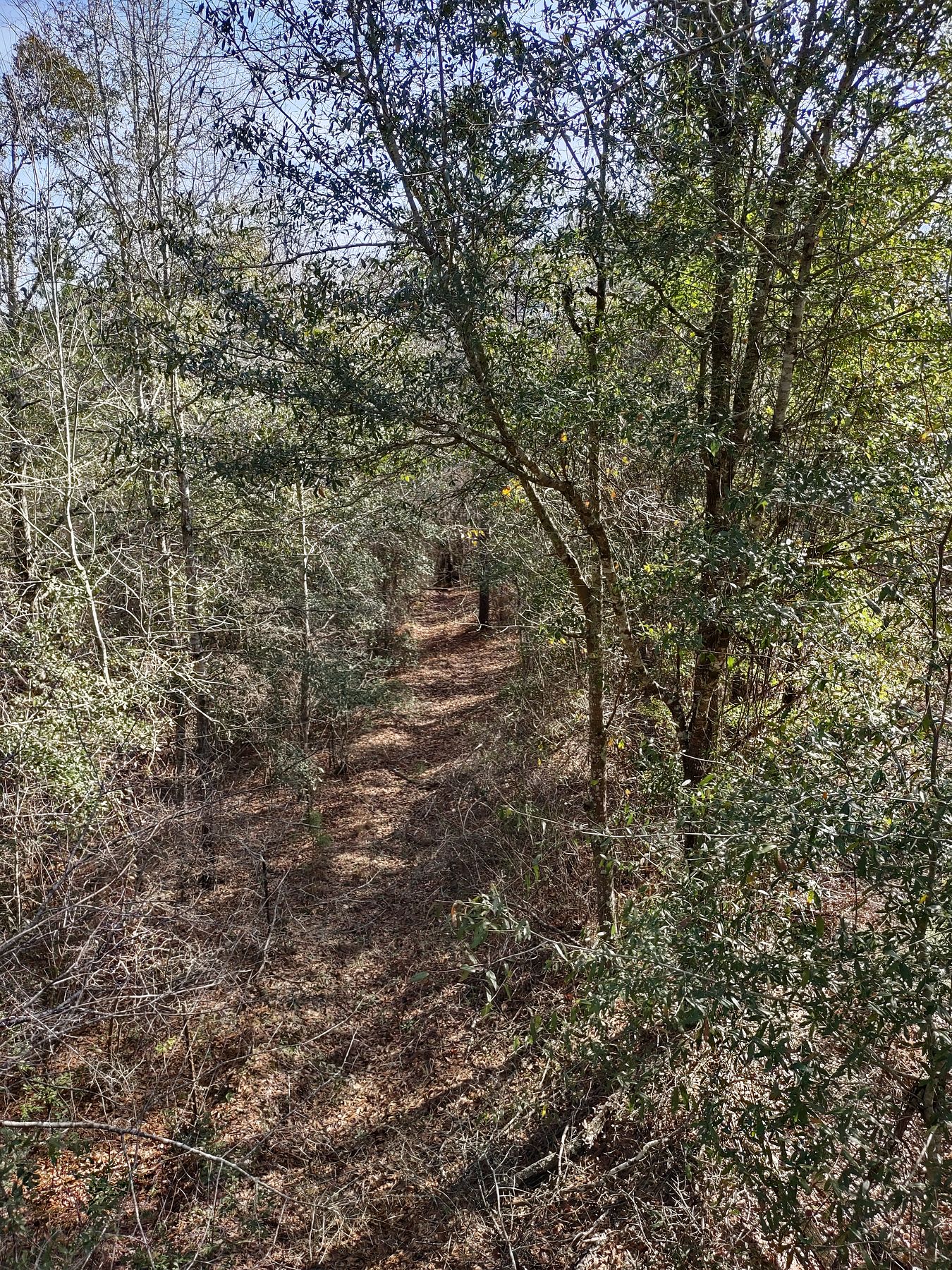 88.5 Acres of Recreational Land with Home for Sale in Abbeville