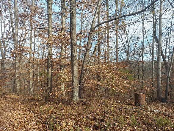 0.5 Acres of Land for Sale in Jabez, Kentucky