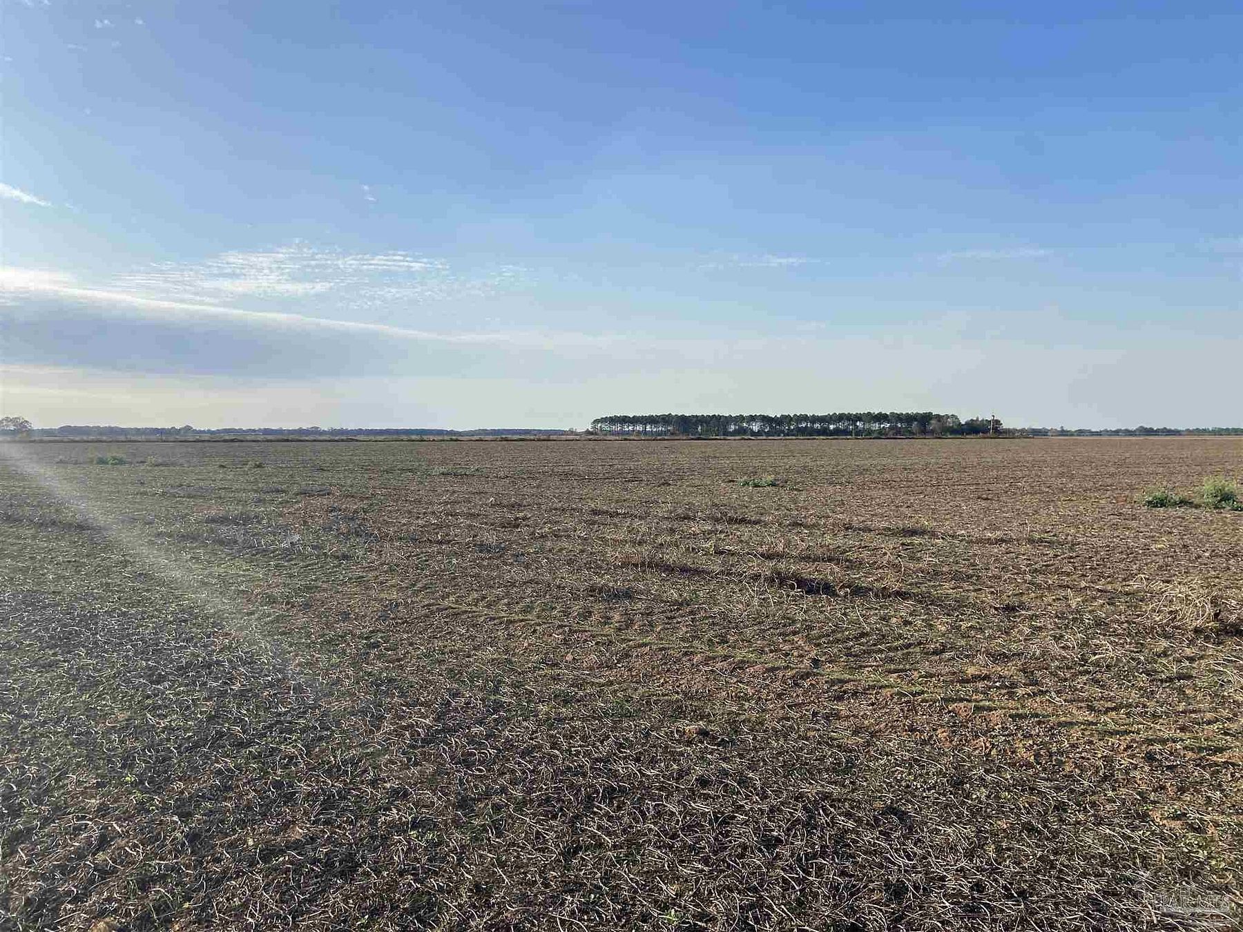 120 Acres of Land for Sale in Atmore, Alabama
