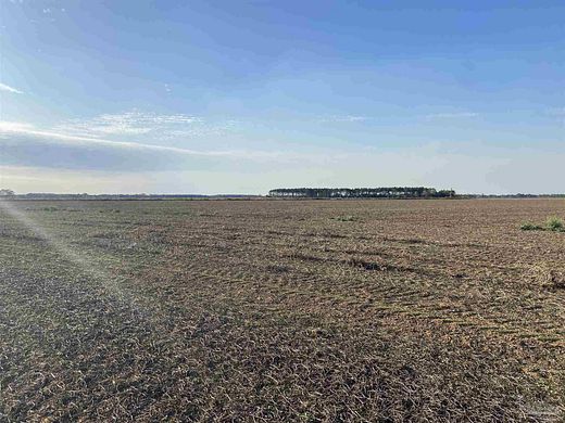 120 Acres of Agricultural Land for Sale in Atmore, Alabama