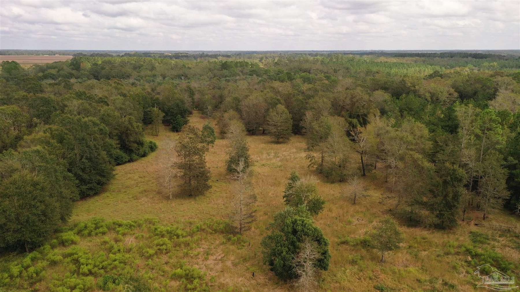 26 Acres of Agricultural Land for Sale in Walnut Hill, Florida