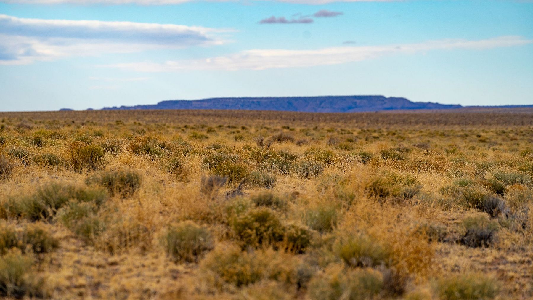 41 7 acres of land for sale in st johns arizona landsearch