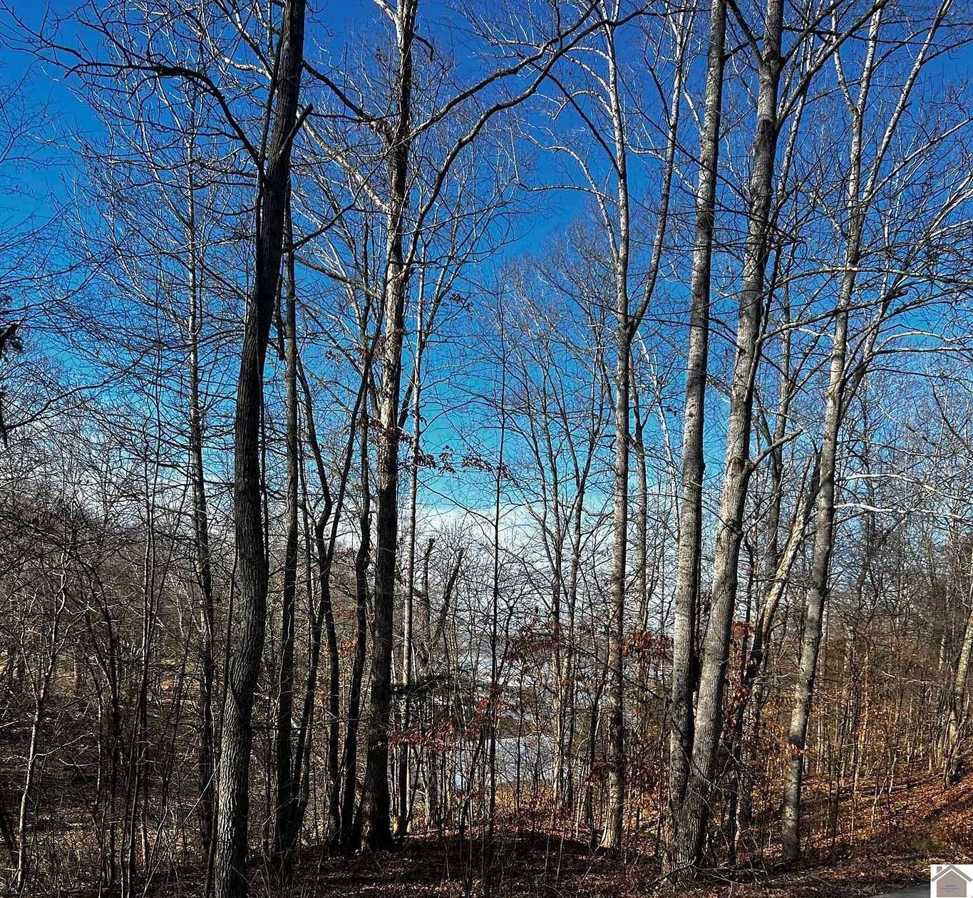 1 Acre of Residential Land for Sale in Cadiz, Kentucky