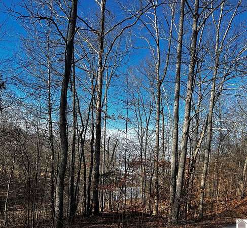 1 Acre of Residential Land for Sale in Cadiz, Kentucky